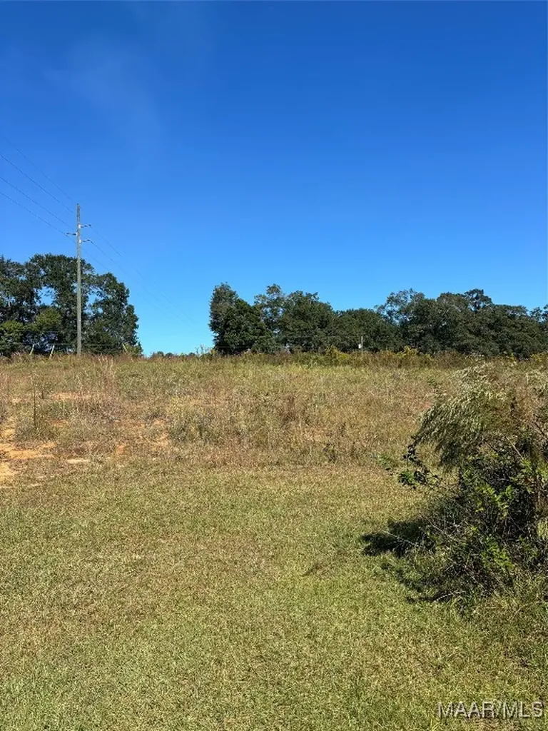 0 Culpepper Road Coffee Springs AL 36318