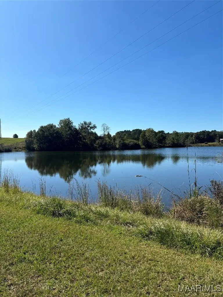 0 Culpepper Road Coffee Springs AL 36318