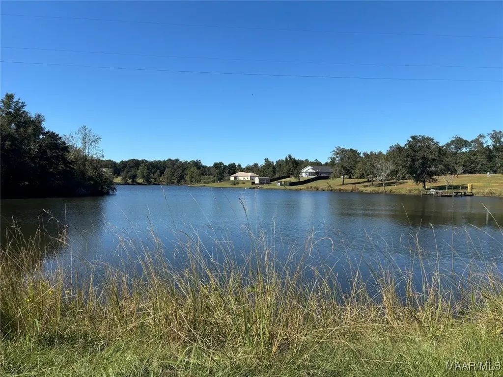 0 Culpepper Road Coffee Springs AL 36318