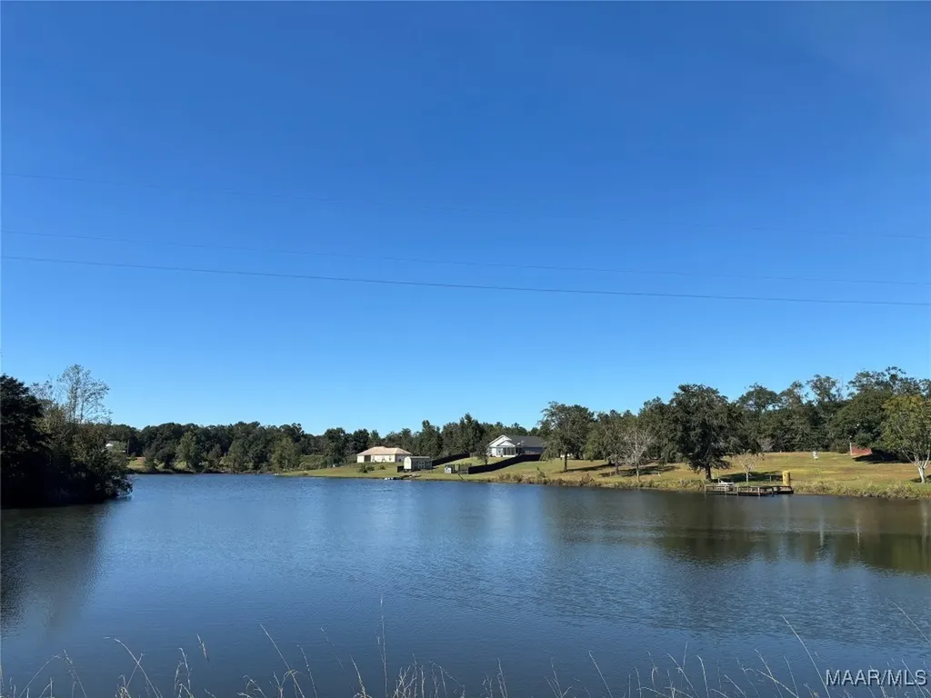 0 Culpepper Road Coffee Springs AL 36318