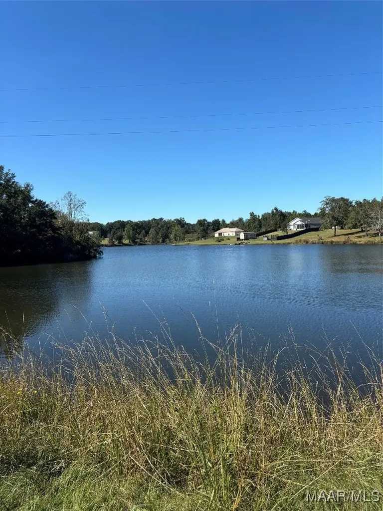 0 Culpepper Road Coffee Springs AL 36318