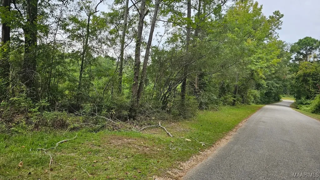 6 Bill Deloney Road Ozark AL 36360