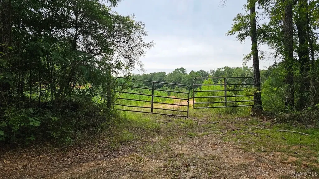 6 Bill Deloney Road Ozark AL 36360