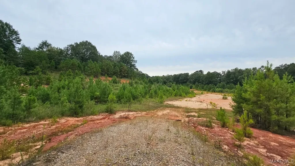 6 Bill Deloney Road Ozark AL 36360