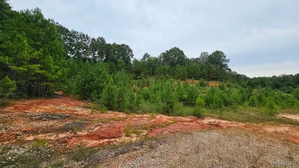 6 Bill Deloney Road Ozark AL 36360