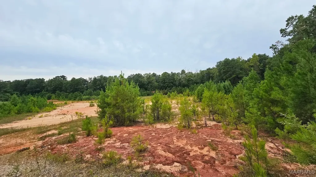 6 Bill Deloney Road Ozark AL 36360