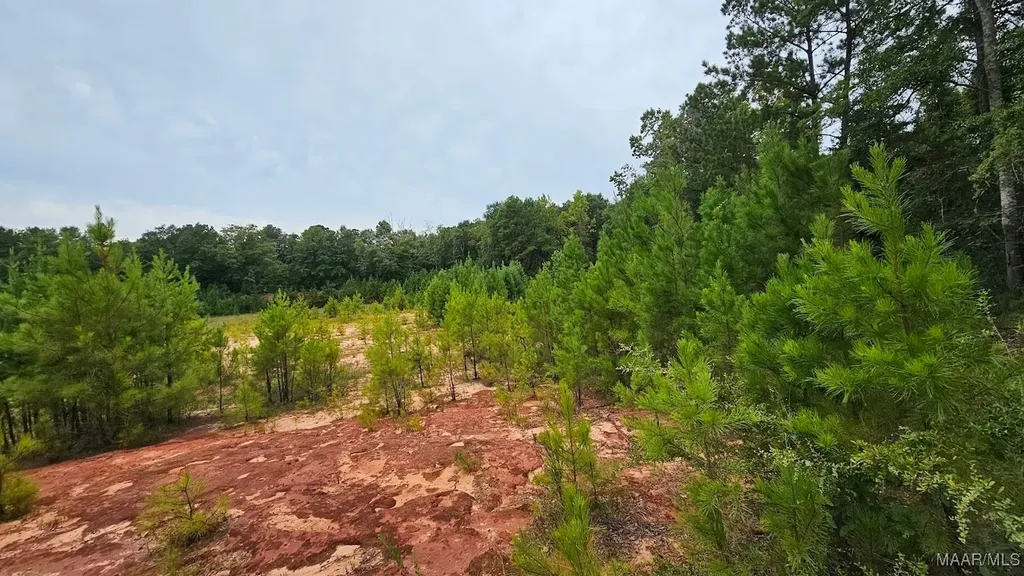 6 Bill Deloney Road Ozark AL 36360