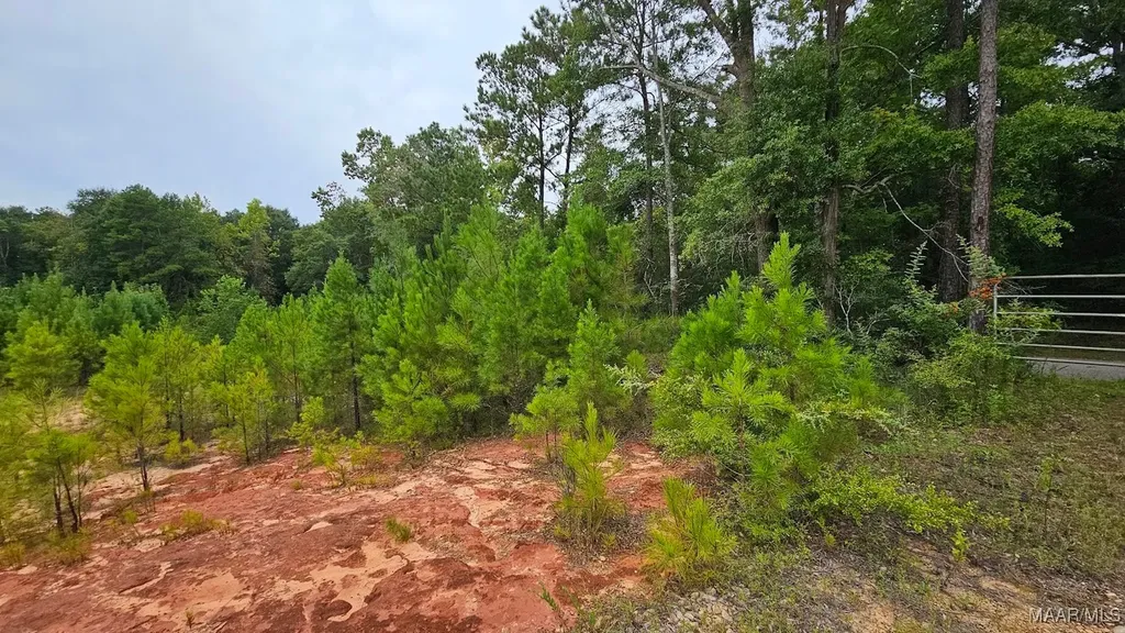 6 Bill Deloney Road Ozark AL 36360