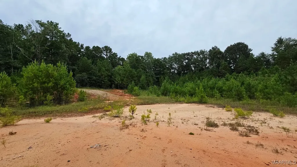 6 Bill Deloney Road Ozark AL 36360