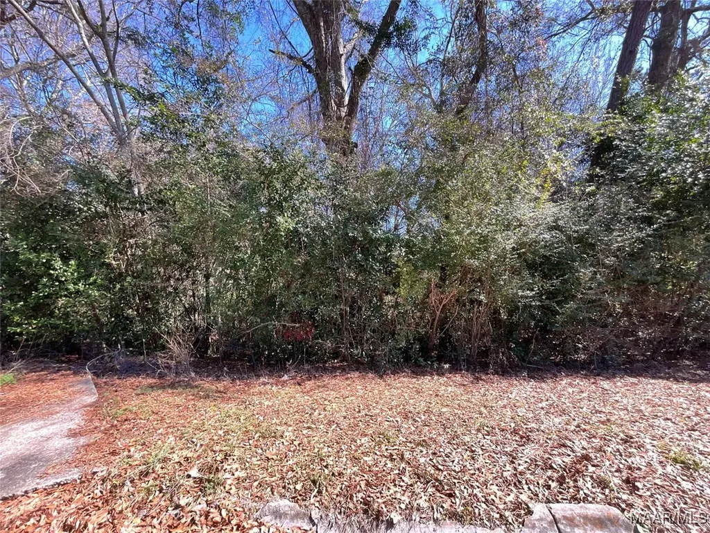 216 Morgan Lane Enterprise AL 36330