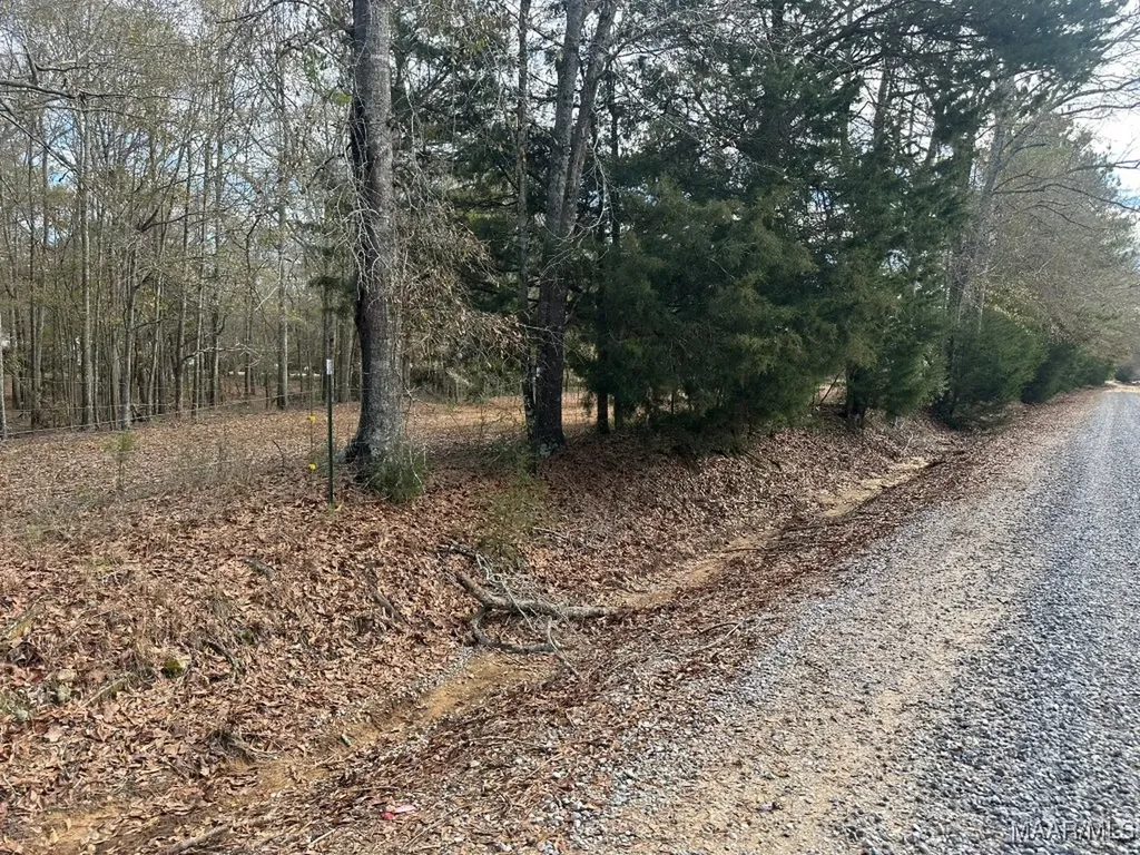 0 County Road 103 Brundidge AL 36010