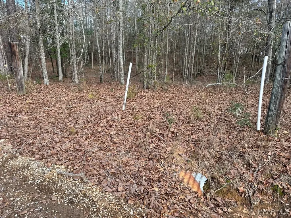 0 County Road 103 Brundidge AL 36010