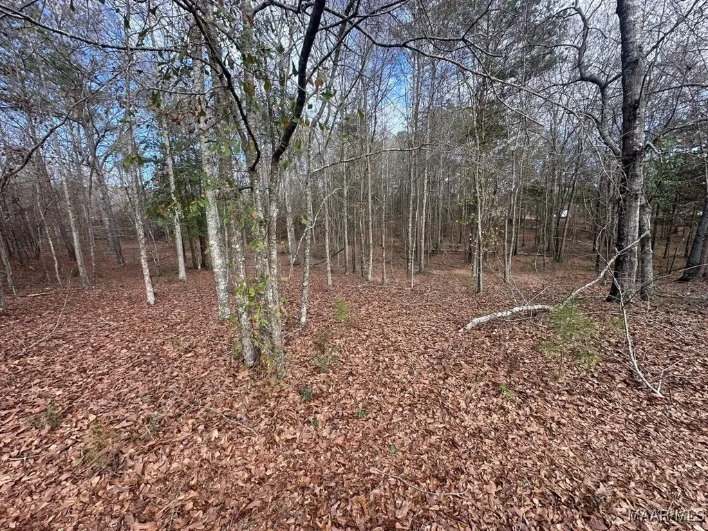 0 County Road 103 Brundidge AL 36010