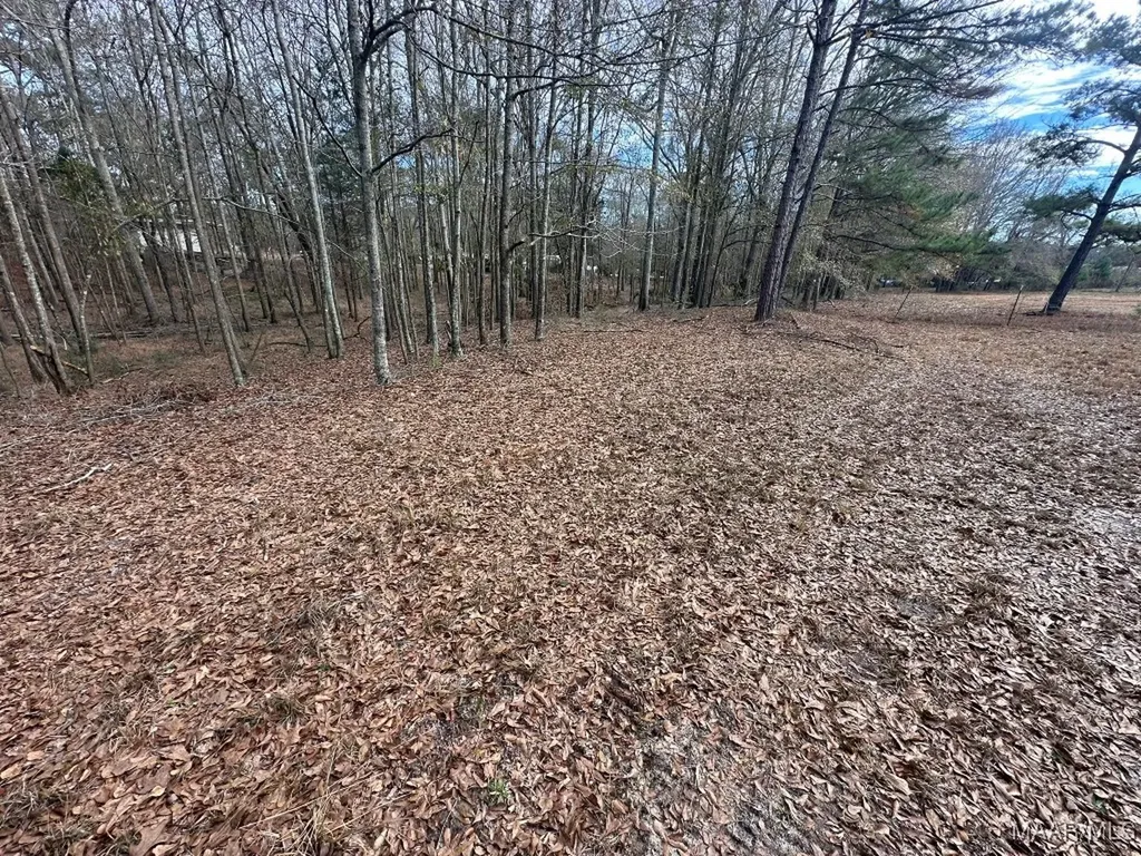 0 County Road 103 Brundidge AL 36010