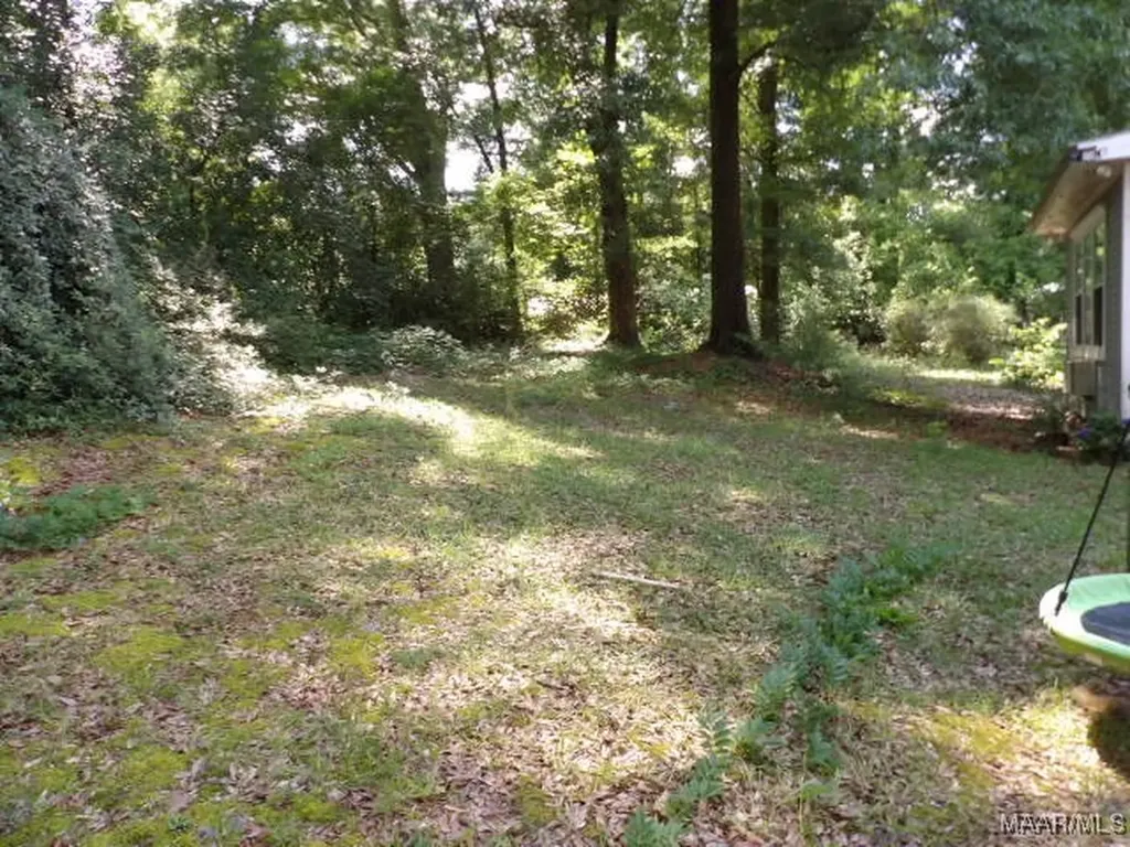 102 Wesley Drive Abbeville AL 36310
