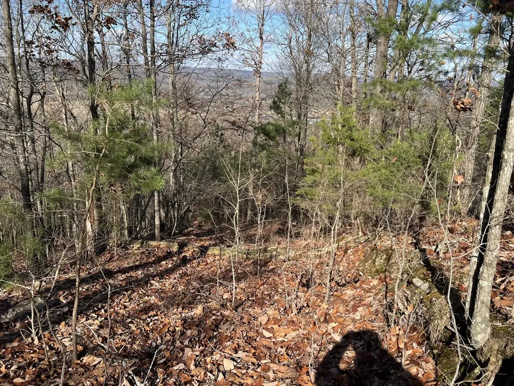 0 County Road 483 Collinsville AL 35961