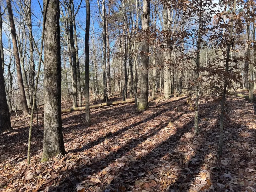 0 County Road 483 Collinsville AL 35961