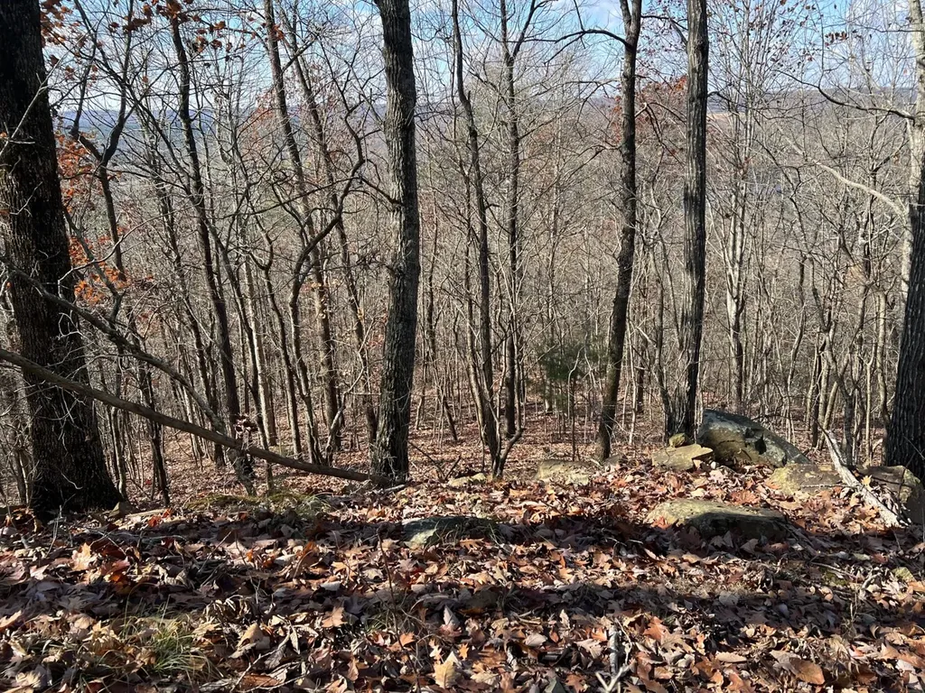 0 County Road 483 Collinsville AL 35961