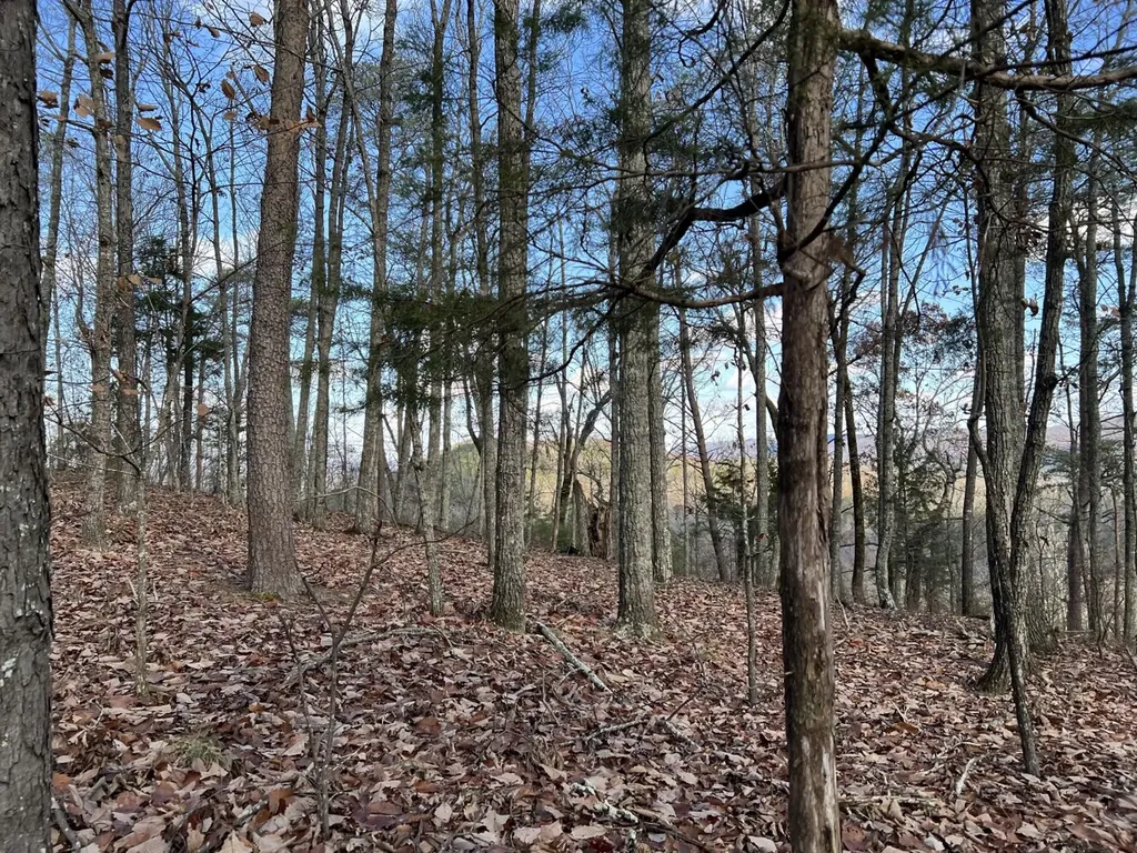 0 County Road 483 Collinsville AL 35961