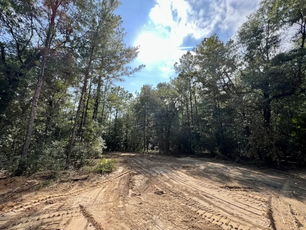 0 Bear Fork Road Mobile AL 36618