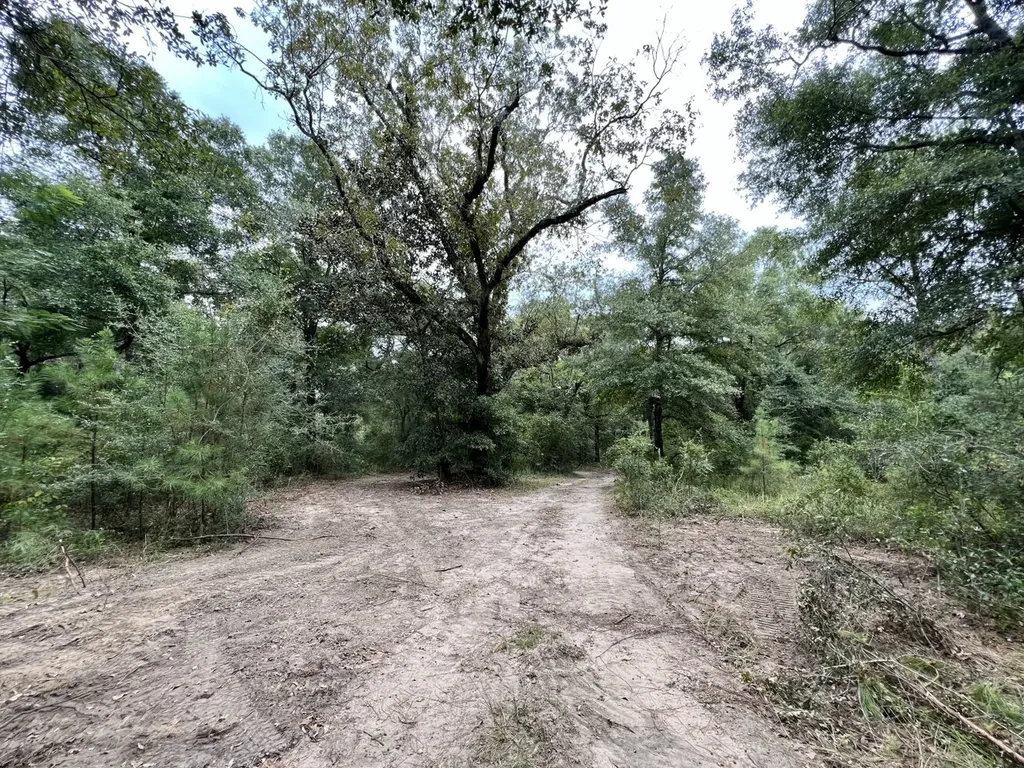 0 Bear Fork Road Mobile AL 36618