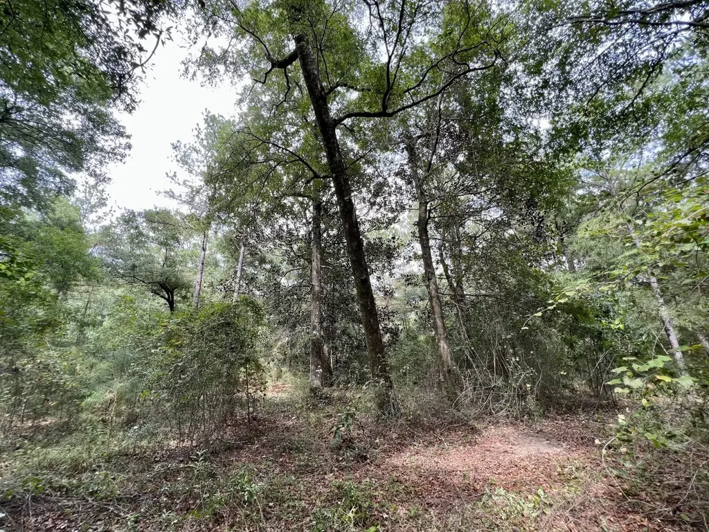 0 Bear Fork Road Mobile AL 36618