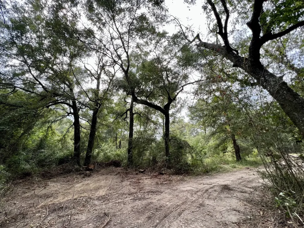 0 Bear Fork Road Mobile AL 36618