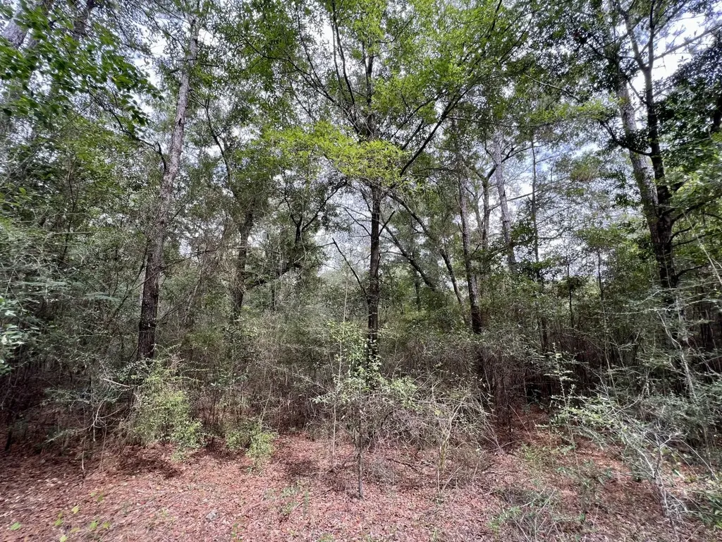 0 Bear Fork Road Mobile AL 36618