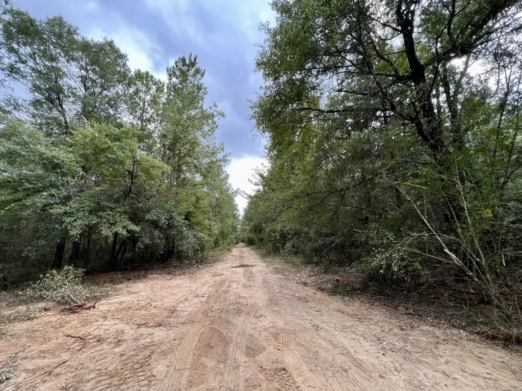 0 Bear Fork Road Mobile AL 36618