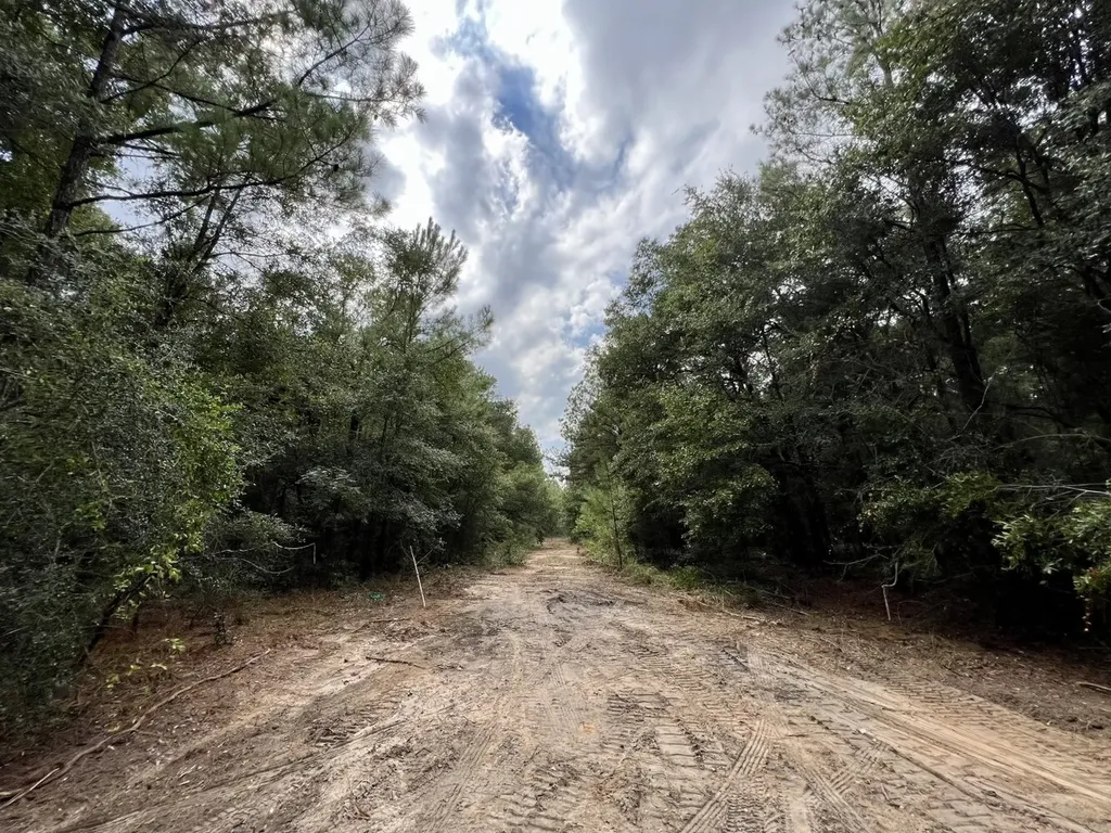 0 Bear Fork Road Mobile AL 36618