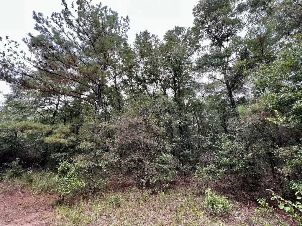 0 Bear Fork Road Mobile AL 36618