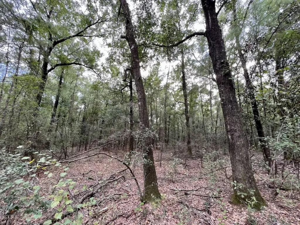 0 Bear Fork Road Mobile AL 36618