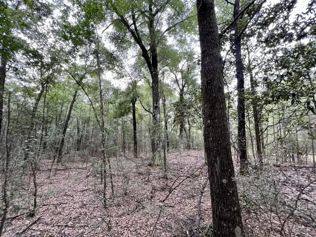 0 Bear Fork Road Mobile AL 36618