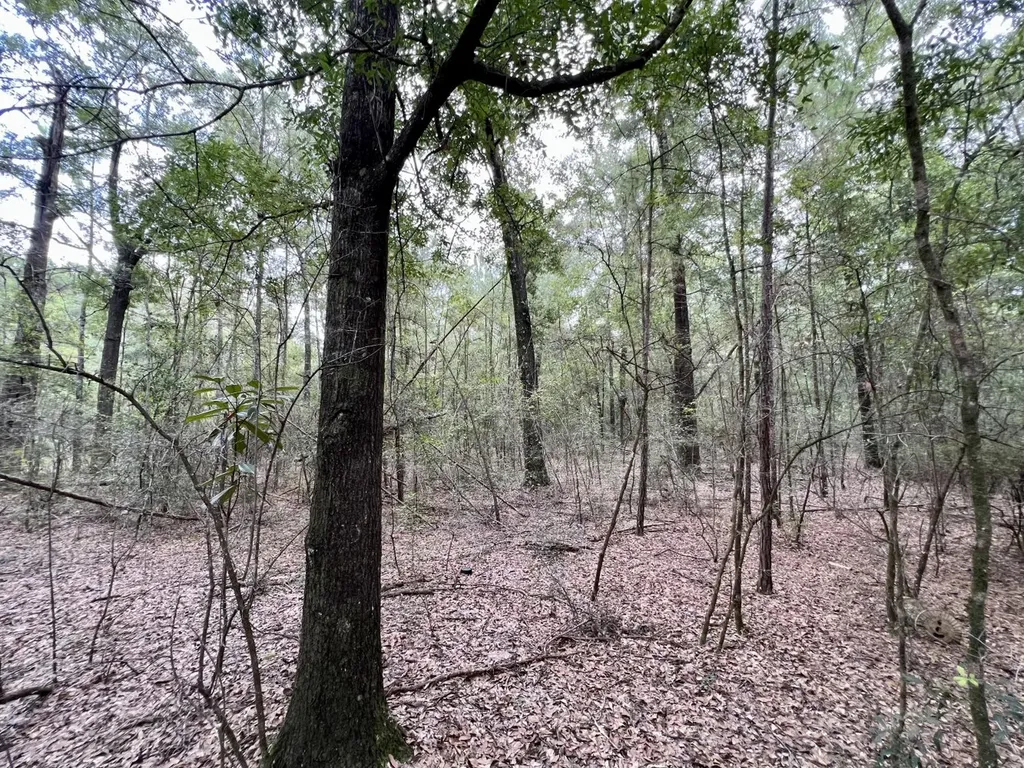 0 Bear Fork Road Mobile AL 36618