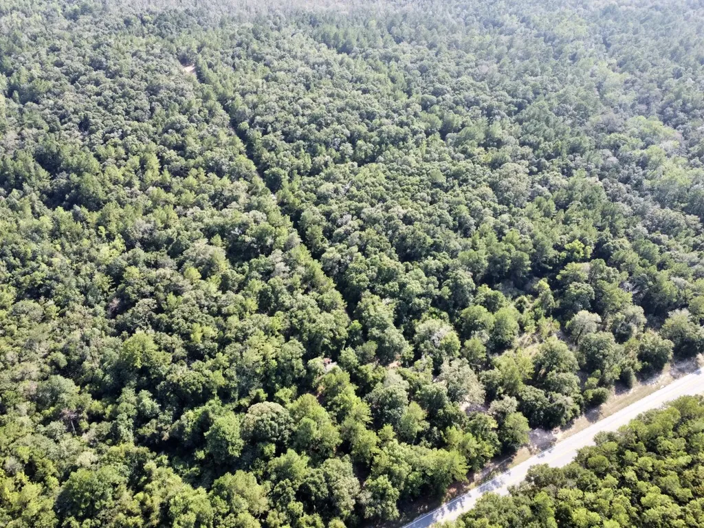 0 Bear Fork Road Mobile AL 36618