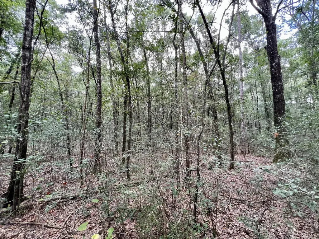 0 Bear Fork Road Mobile AL 36618