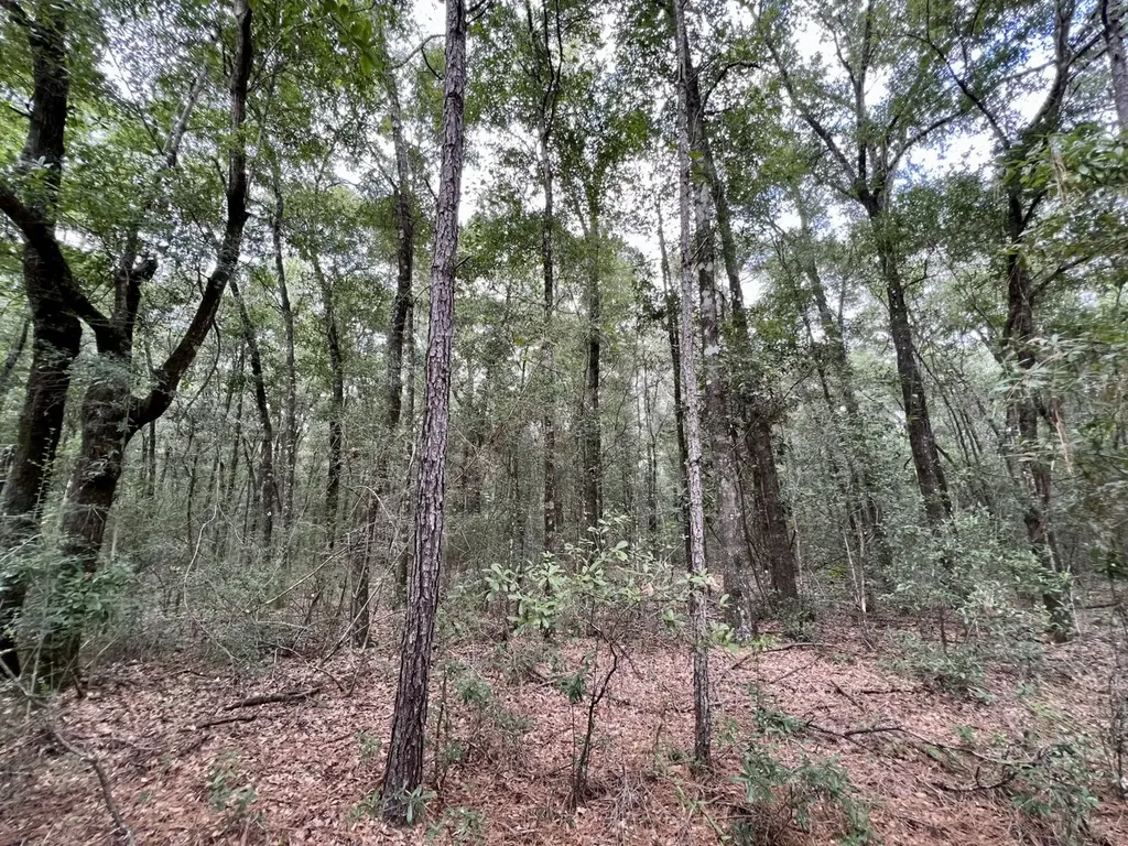 0 Bear Fork Road Mobile AL 36618