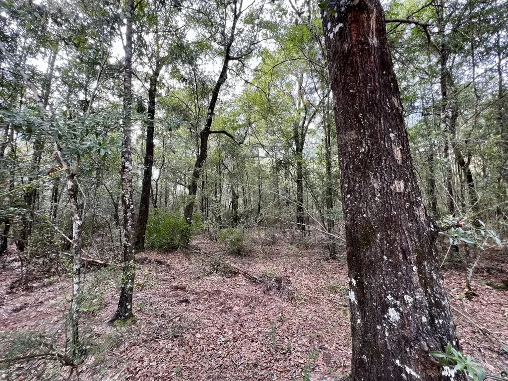 0 Bear Fork Road Mobile AL 36618