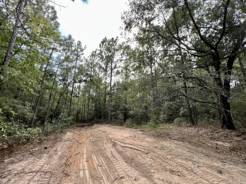 0 Bear Fork Road Mobile AL 36618