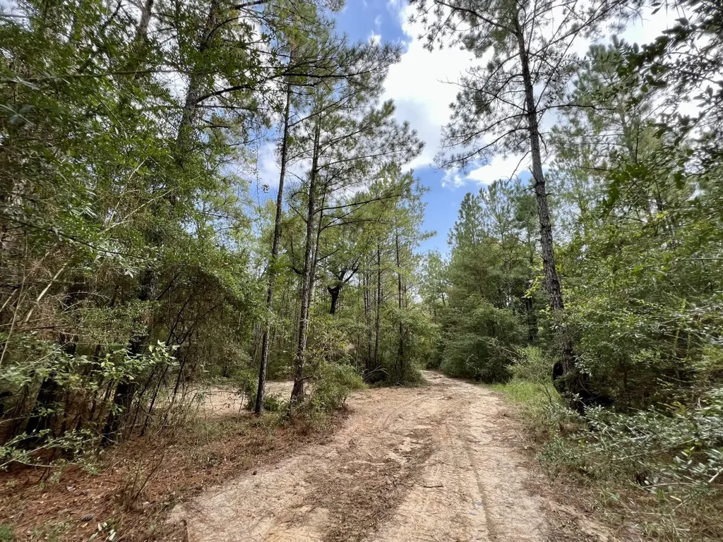 0 Bear Fork Road Mobile AL 36618