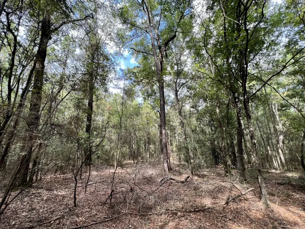 0 Bear Fork Road Mobile AL 36618