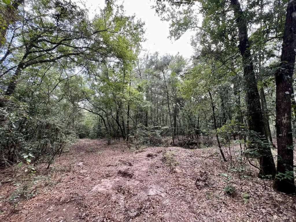 0 Bear Fork Road Mobile AL 36618