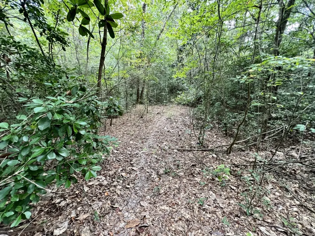 0 Bear Fork Road Mobile AL 36618