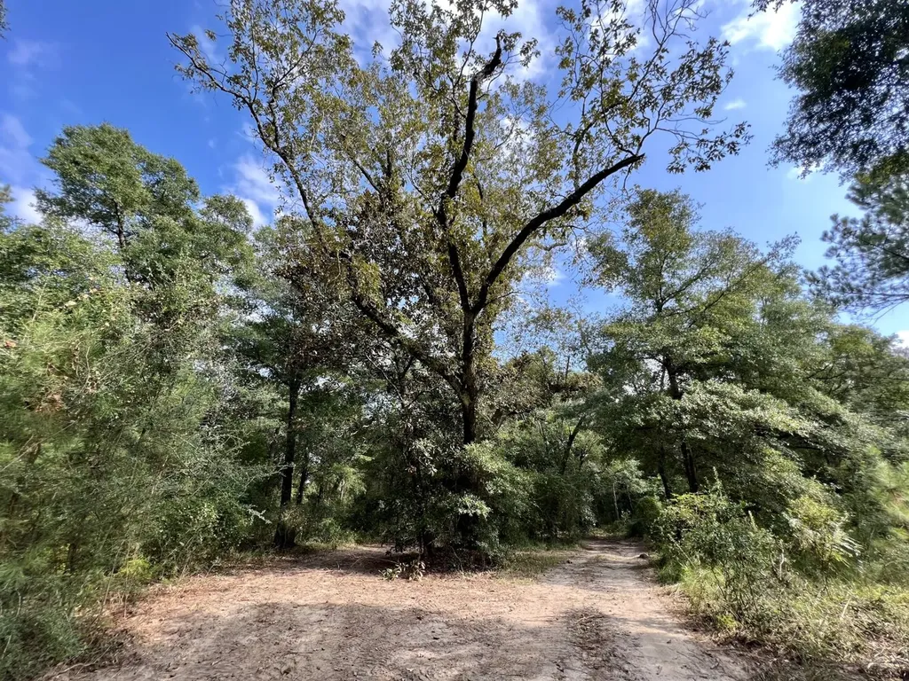 0 Bear Fork Road Mobile AL 36618
