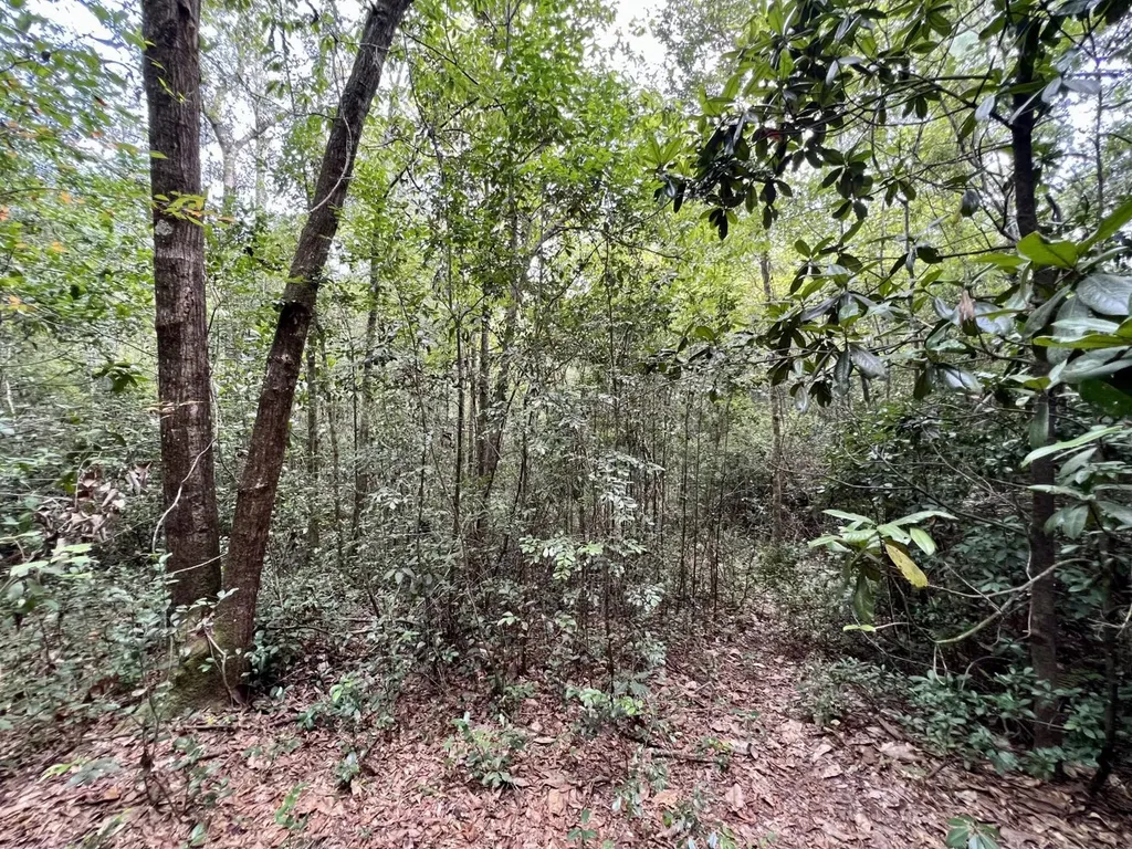 0 Bear Fork Road Mobile AL 36618