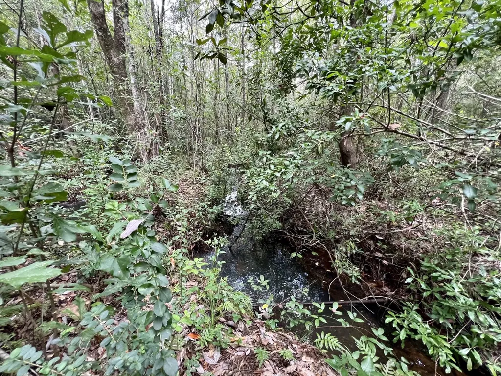 0 Bear Fork Road Mobile AL 36618