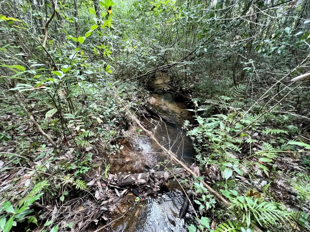 0 Bear Fork Road Mobile AL 36618