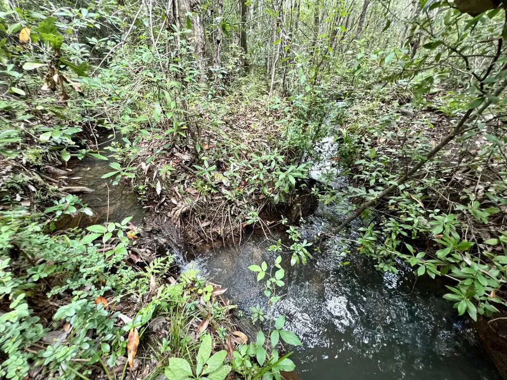 0 Bear Fork Road Mobile AL 36618