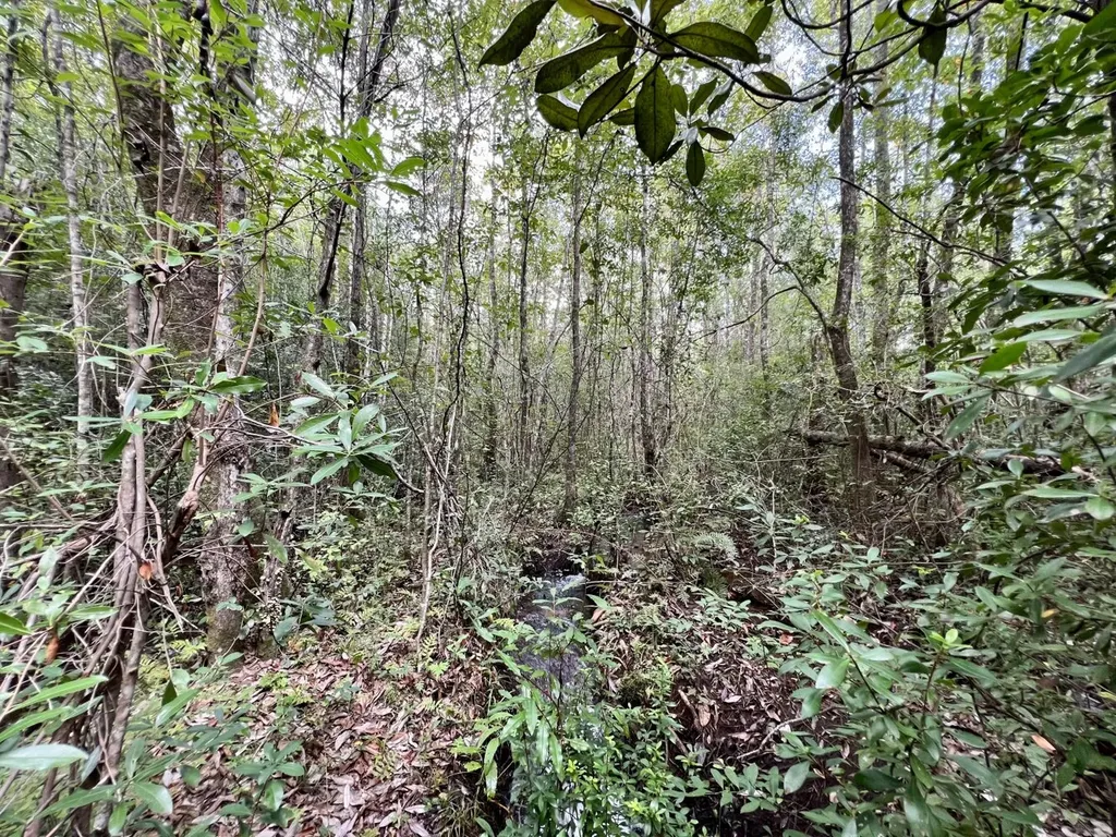 0 Bear Fork Road Mobile AL 36618