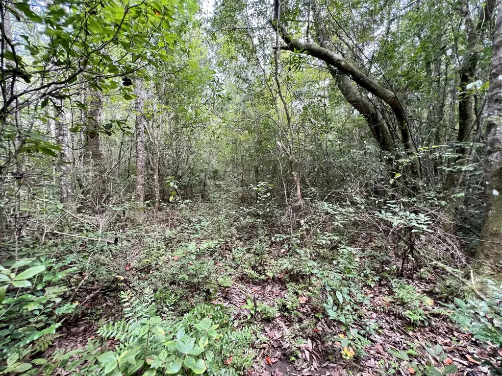 0 Bear Fork Road Mobile AL 36618